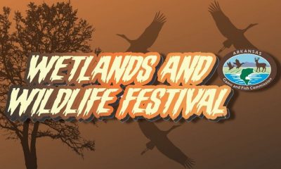 Pine Bluff nature center to host annual Wetlands and Wildlife Festival on Saturday